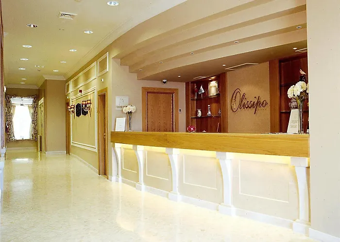 奥利斯比城堡酒店 酒店 Lisboa